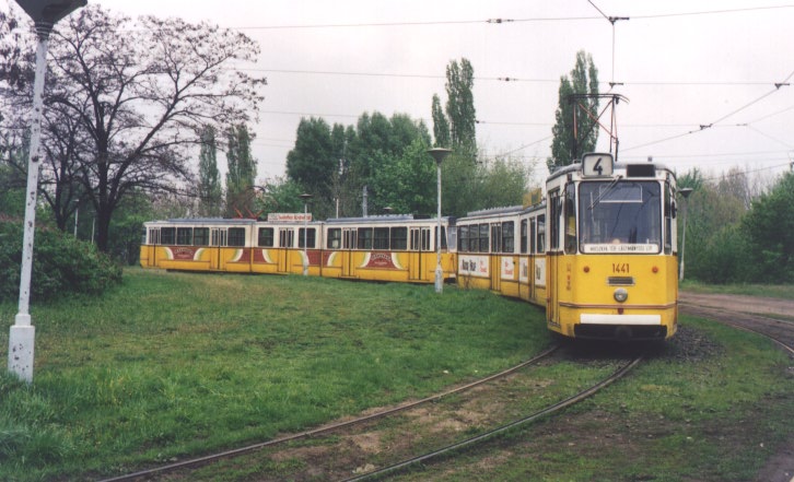 1441 (4)