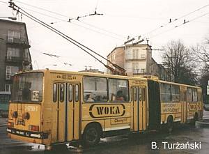 Lublin (3-0790-T)